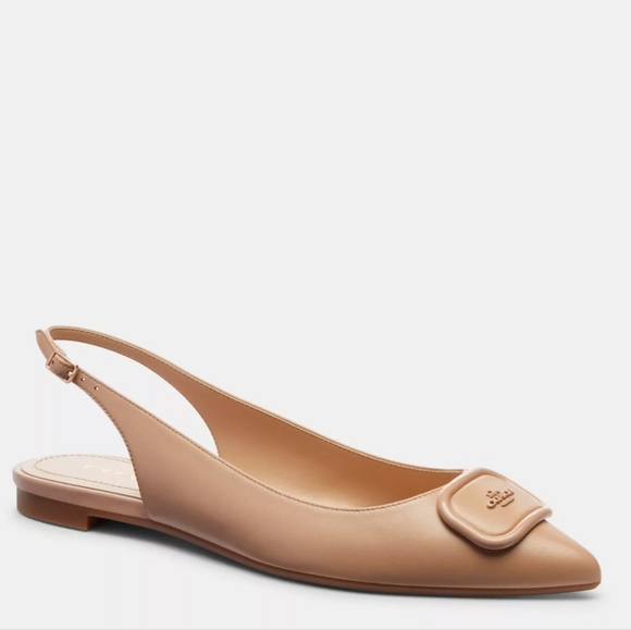 Coach shoes